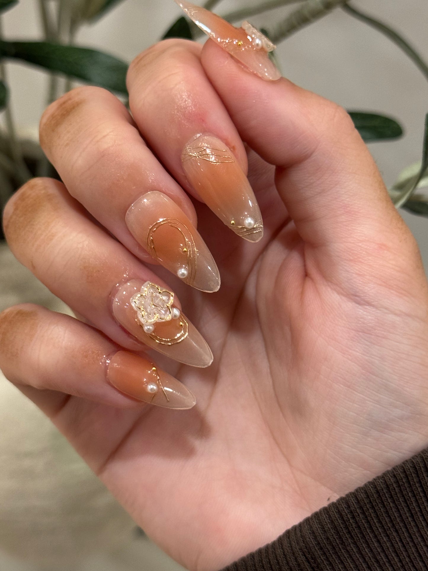 Flower Blossom